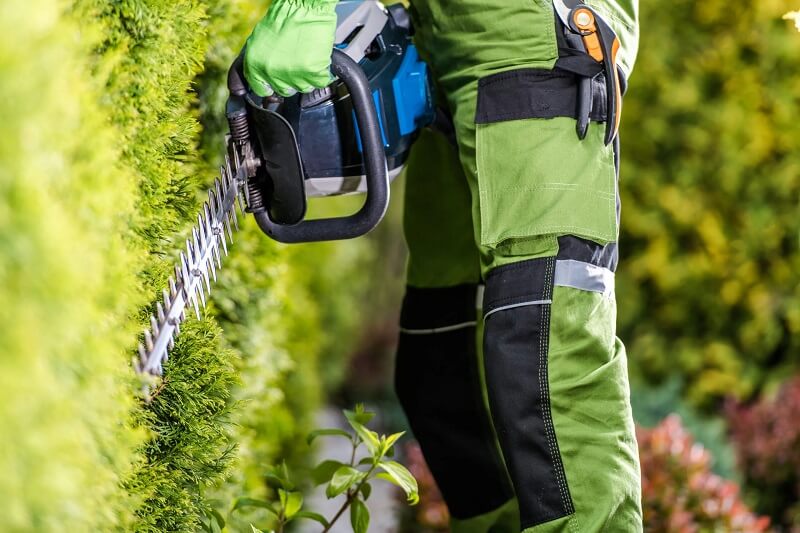 Affordable hedge trimming services in Sydney