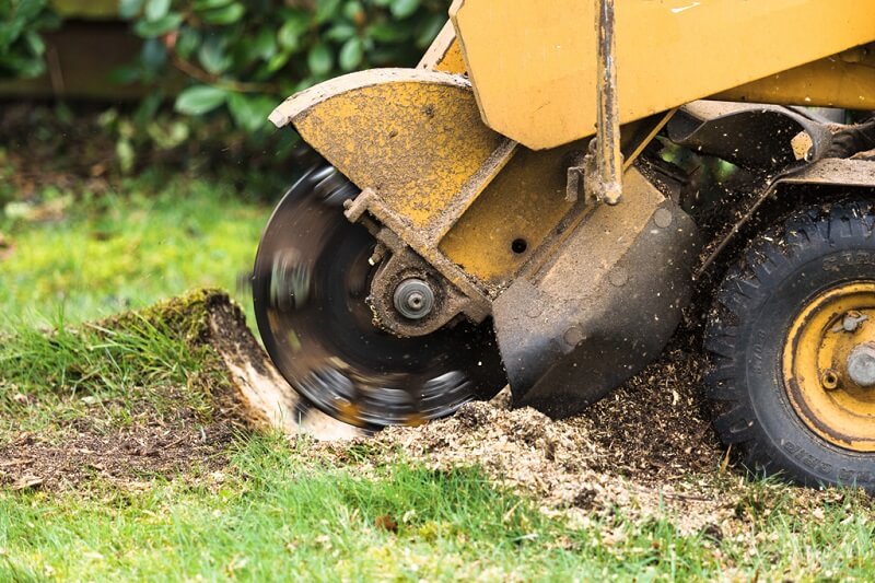 Professional stump grinding services in St Ives Chase, Sydney
