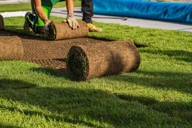 Professional turfing services in Sydney